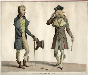 De ongelooflijke