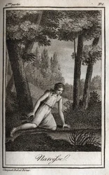 Narcissus die zijn reflectie aanschouwt (Narciso) Gravure uit 1819 in 