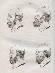 Fysiognomie - Fysiognomie - Verschillende hoofden van de Griekse filosoof Socrates (ca. 469 v.Chr.-399 v.Chr.) (Buste van Socrates (ca. 469 v.Chr.-399 v.Chr.), Atheense filosoof) gravure van 1808 in 