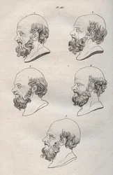Fysiognomie - Verschillende hoofden van de Griekse filosoof Socrates (ca. 469 v.Chr.-399 v.Chr.) (buste van Socrates) gravure uit 1808 in 