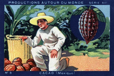 Producties over de hele wereld: Cacao in Mexico. Chromolithografie uit 1933 in “Joseph-Milliat Album”