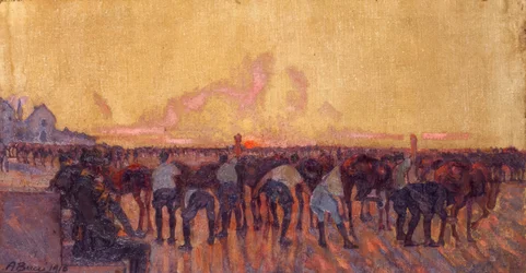Verzorging van de paarden