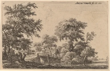 Planken Bevestigd aan Vier Bomen
