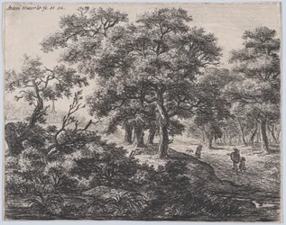 De vier bomen, 17e eeuw