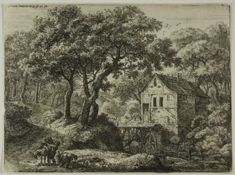 De molen in het bos