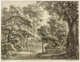 De delen van het hout die pas zijn gesneden