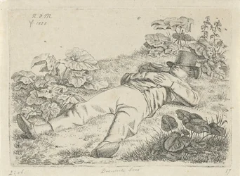 Liggend man in het gras Drentsche boer
