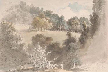 Landschap met bomen