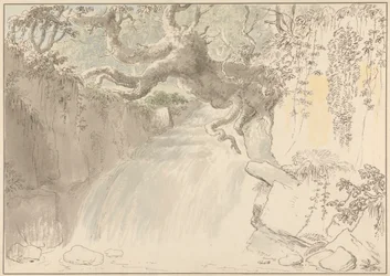 Waterval en boomstam