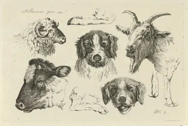 Dierenkoppen en -poten (Studies van koeien, schapen en geiten)