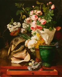 Stilleven met bloemen, schelpen, een haaienkop en versteende objecten