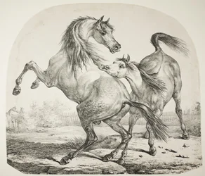 Wilde paarden vechten, c.1820