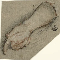 Handrug en onderarm