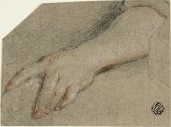 Hand wijzen en onderarm