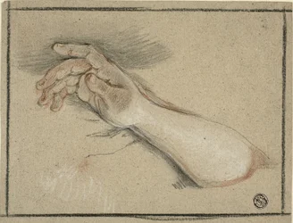 Hand en onderarm