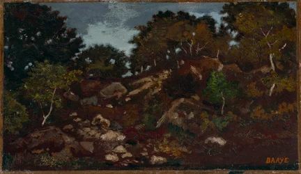 Rotsen in het bos van Fontainebleau