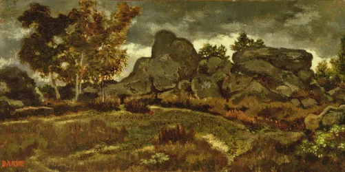 Bos bij Fontainebleau
