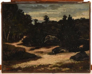 Frans: Chemin sableux en forêt de Fontainebleau