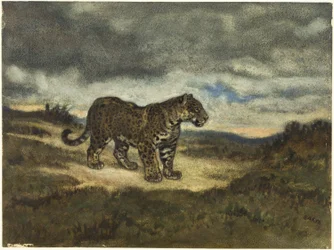 Jaguar Staand