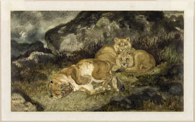 Leeuwin en welpen, ca. 1832 (aquarel en grafiet, op ivoorkleurig papier)