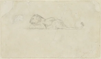 Zittende leeuwin
