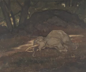 Slapende olifant