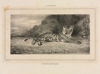 Studie van een tijger, 1832