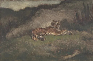 Tijger