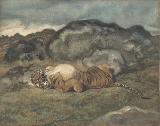 Tijger rolt op zijn rug, 1810-75