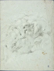 Hoofd van Laocoon Group