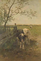 De melkbocht