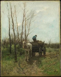 Hout verzamelen