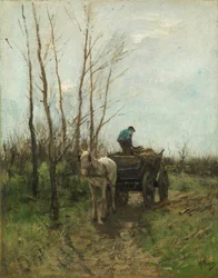 Hout verzamelen