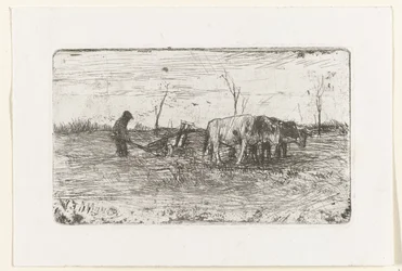 Ploegende ossen