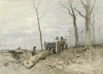 De Malllejan
