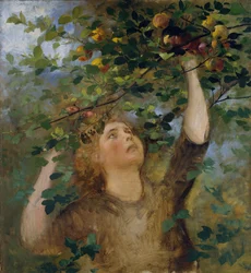 Meisje dat appels plukt