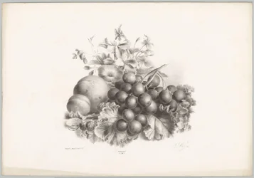 Bloemen, perzik, nectarine, druiven en bramen