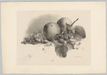 Perziken, bessen, hazelnoten en bramen