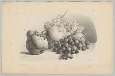 Pompoen, bessen, druiven en perziken