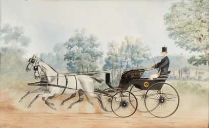 Anton Zampi