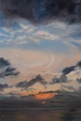 Zalmwolken, 2011