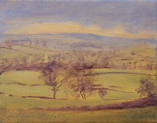 Somerset bomen