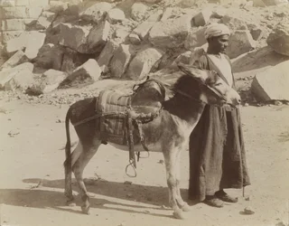 Bourier en Bouriquer, Egypte