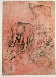 Hondenstudies. Aulisch episode. Tekening door Antonio Pisano, genaamd il Pisanello