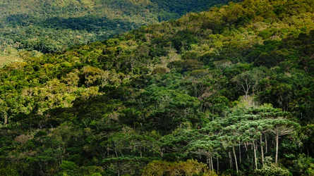 Mantiqueira LVIII, Brazilië, 2023 (foto)