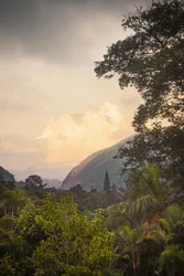 Serra dos Órgãos VIII, Petrópolis, Rio de Janeiro, Brazilië, 2025 (foto)