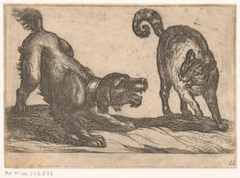 Een hond vechtend met een kat