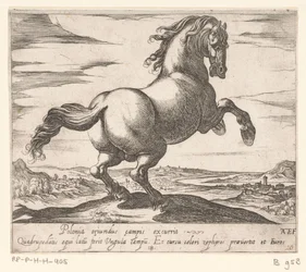 Steigerend paard naar rechts gewend