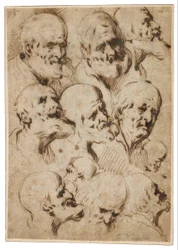 Studie van de hoofden van apostelen