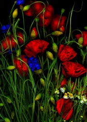 Kunstbloemen Klaproos 1